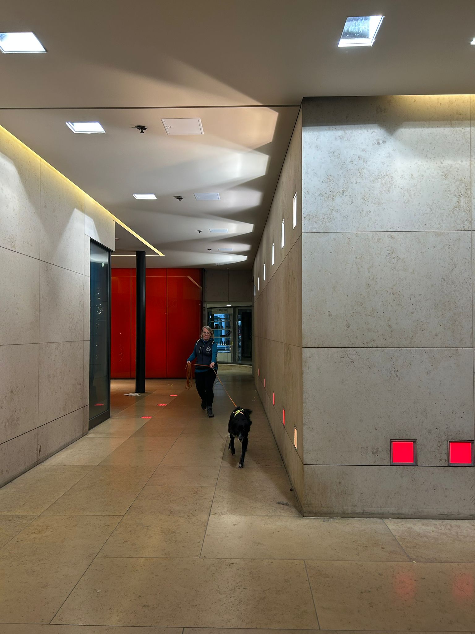 23cf5452-8250-43ac-94b4-7e1783ffd66b