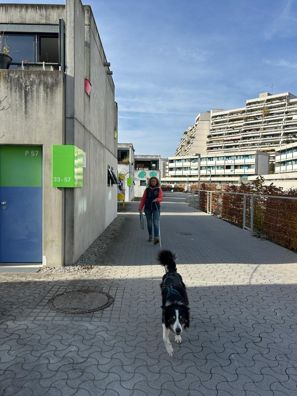 26b0d4d8-4600-4224-9438-c35fffb6a915