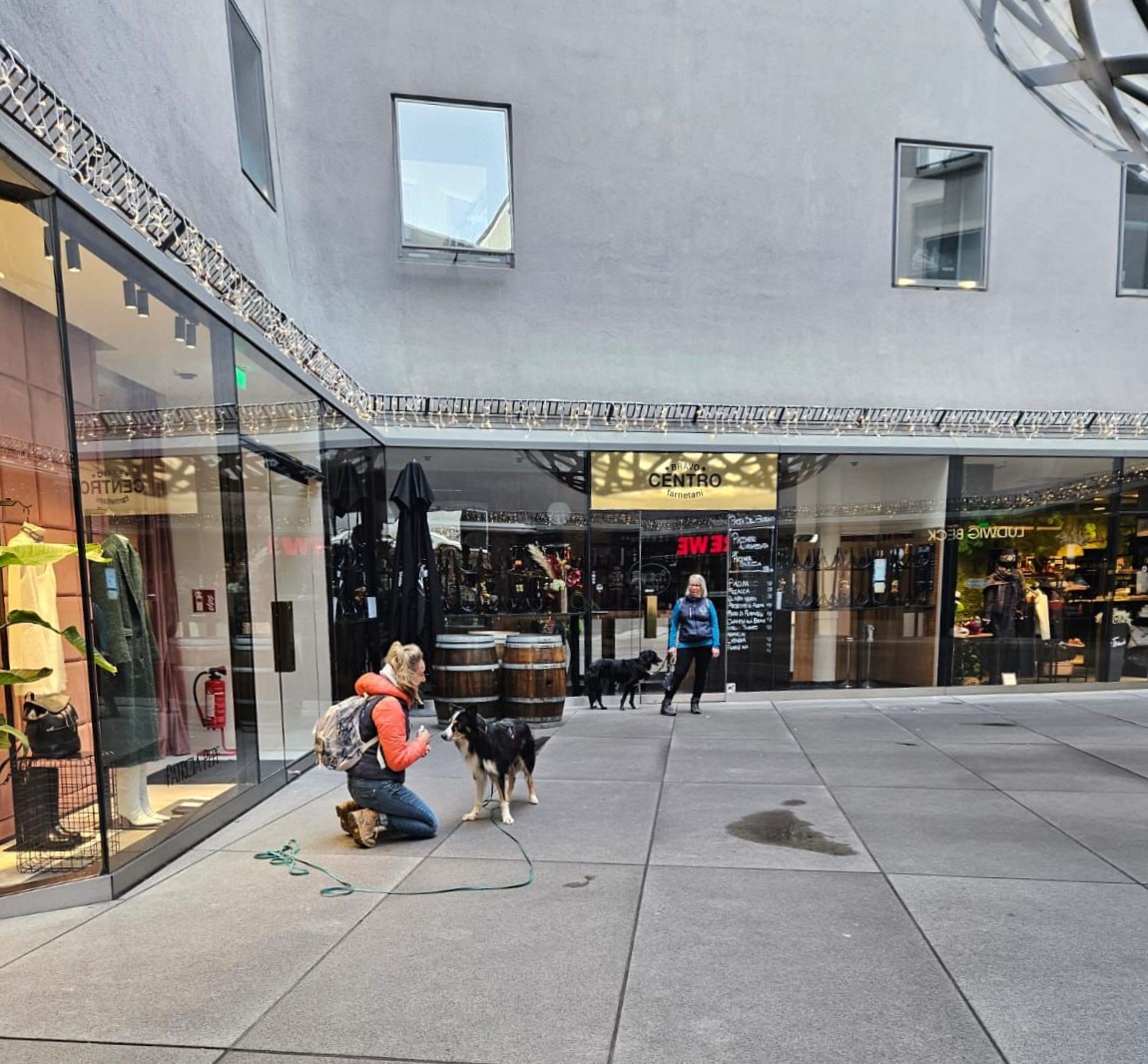 af05bff1-a899-4a64-9217-d2c4f69eb0a8