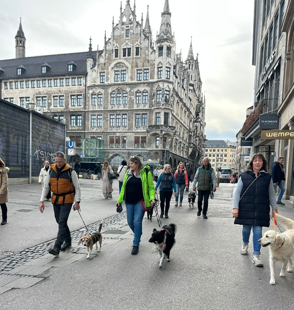 e6cb58ae-15e7-472d-93e8-b0d4dbea1876