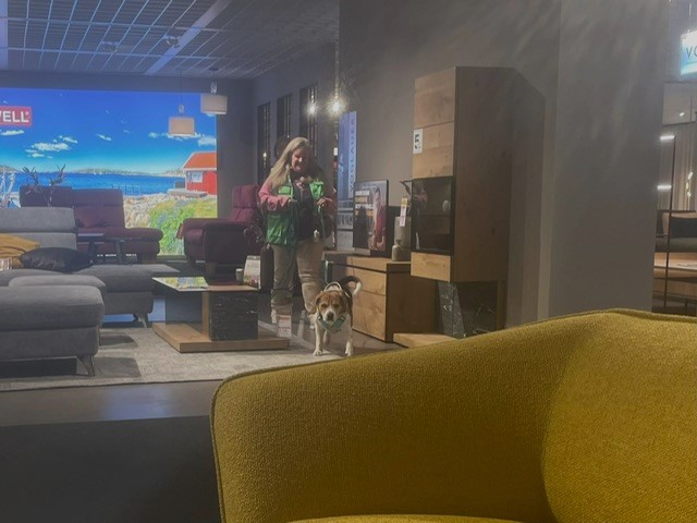 ca275fc9-657b-4ce9-801a-1590fe083669