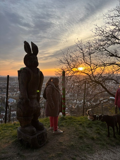 DA34B849-A917-4B4E-9E0C-E32700B8C661