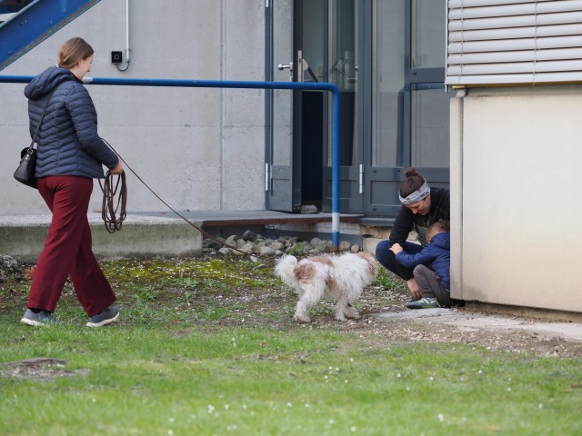 3c9594a2-a8ce-42ad-a4c8-0b0dfb46d6fa