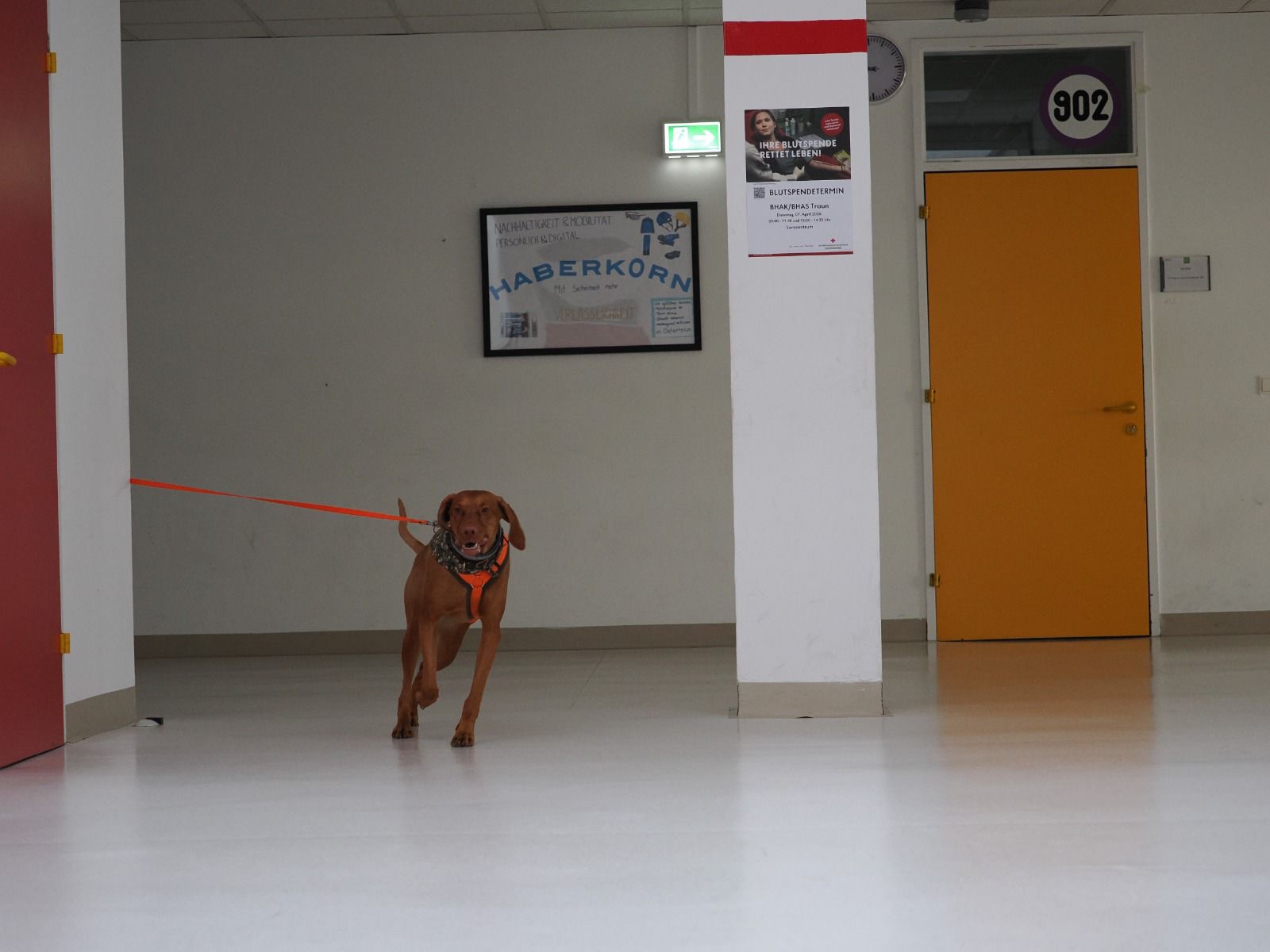 3e33dfeb-1f32-43fc-af7b-496153856e53