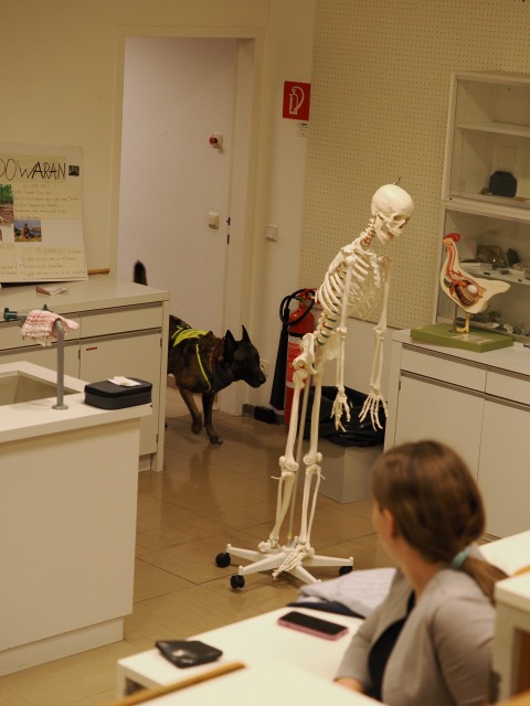 c2ab2487-ca76-4d67-9e3f-67beb2f58009