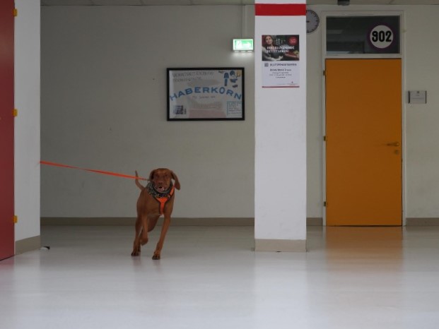 d1d30a60-59e2-491e-90bf-ad7fc1104594