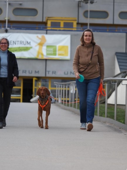 e1570c84-5ea2-4ca9-bb7a-ba1ebea9a4ce