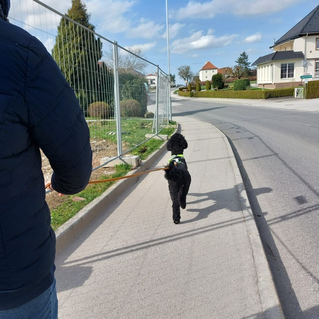 fa734166-399a-4357-9061-b8a5b40b5ffb